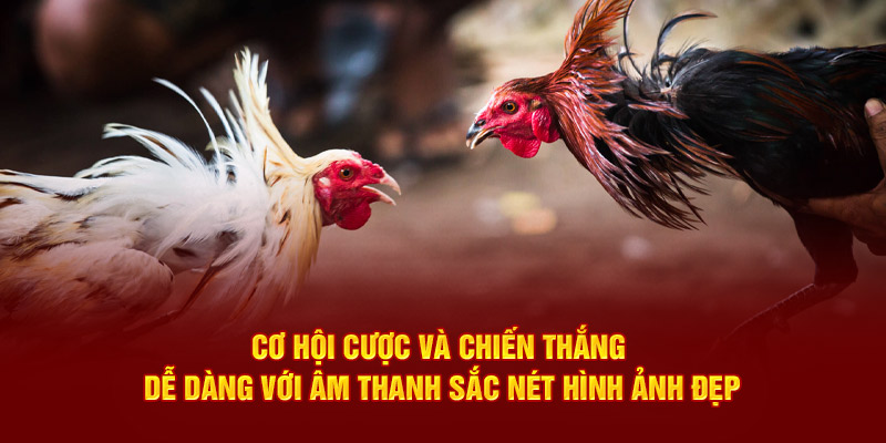 Cơ hội cược và chiến thắng dễ dàng với âm thanh sắc nét hình ảnh đẹp