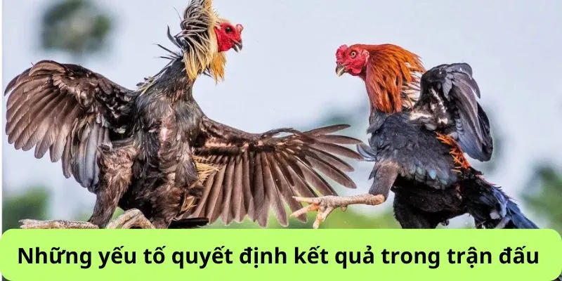 Những yếu tố quyết định kết quả trong trận đấu