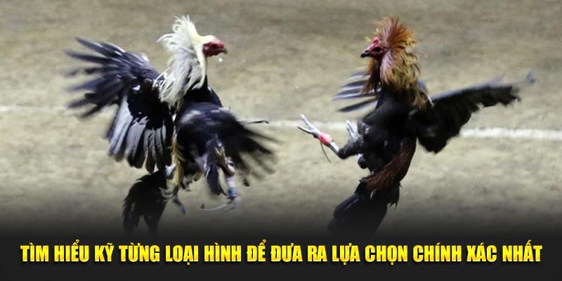 Tìm hiểu kỹ từng loại hình để đưa ra lựa chọn chính xác nhất